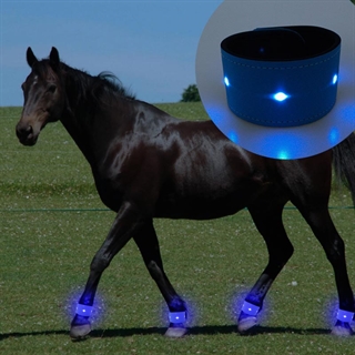 LED benbånd til heste
